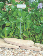G-Series aluminum garden marker with extra-wide angled nameplate and durable galvanized wire legs – designed for labeling large plants, perennials, shrubs, and trees. Weatherproof, rust-resistant, and made in the USA for long-lasting visibility in outdoor gardens and landscape settings. G-Series aluminum garden marker with extra-wide angled nameplate and durable galvanized wire legs – designed for labeling large plants, perennials, shrubs, and trees. Weatherproof, rust-resistant, and made in the USA for long-lasting visibility in outdoor gardens and landscape settings.