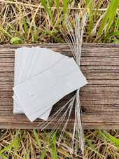 K-Series zinc tie-on plant label with pre-drilled hole – perfect for tagging trees, shrubs, and potted plants. Rust-resistant and weatherproof for long-term outdoor use. Durable blank zinc surface allows for easy marking. Made in the USA and ideal for nurseries, orchards, and home gardens.