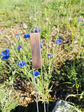 A-Series copper garden marker featuring a solid copper nameplate and galvanized wire legs – ideal for labeling herbs, vegetables, and flowers with a touch of elegance. Naturally weather-resistant and patinas beautifully over time. Durable, reusable, and proudly made in the USA.