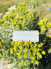 Close-up of E-Series Zinc Garden Marker with durable galvanized steel wire legs and weather-resistant zinc nameplate – ideal for outdoor plant labeling in vegetable gardens, herb beds, flower plots, and botanical displays. Rustproof and reusable metal garden marker proudly made in the USA.