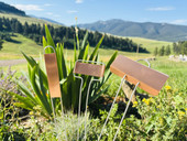 Assorted copper garden markers from the Ultimate Copper Collection – includes A-Series, C-Series, and E-Series styles with solid copper nameplates and galvanized steel legs. Rustproof, weather-resistant, and reusable plant tags made in the USA. Ideal for herbs, flowers, vegetables, and ornamental gardens.