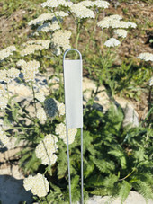 Ultimate Zinc Collection garden markers – includes 75 zinc plant tags from the A-Series, C-Series, and E-Series with rust-resistant nameplates and galvanized steel legs. Ideal for labeling vegetables, herbs, flowers, and perennials. Durable, reusable, and proudly made in the USA. Ultimate Zinc Collection garden markers – includes 75 zinc plant tags from the A-Series, C-Series, and E-Series with rust-resistant nameplates and galvanized steel legs. Ideal for labeling vegetables, herbs, flowers, and perennials. Durable, reusable, and proudly made in the USA.