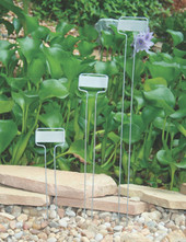 Zinc replacement labels