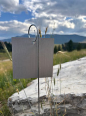 Heavy-duty P-Series garden markers with 15-inch wire and 3.25-inch square aluminum plate – durable metal plant label for outdoor use Heavy-duty P-Series garden markers with 15-inch wire and 3.25-inch square aluminum plate – durable metal plant label for outdoor use