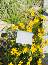 Complete Garden Labeling Kit – Premium Bundle