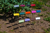 E Series Painted Garden Markers