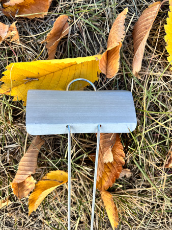 Fall in the Garden: Tips for a Beautiful and Productive Season