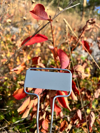 How to Prepare Your Garden for Winter and Keep It Organized with Durable Metal Plant Labels