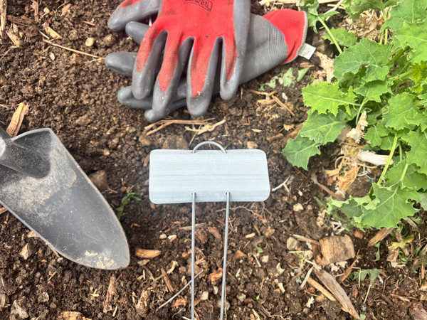 The Gardening Habit That Improves Every Season