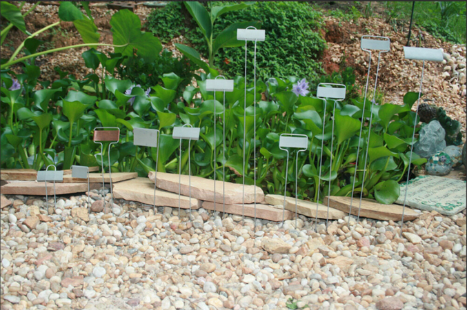 The Importance of Keeping Your Garden Labeled (And How MetalGardenMarkers.com Can Help)