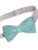 Light Green Salmon Fish Leather Bow Tie