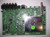 Sanyo DP46849 Main Board 1AA4B10N22900 / N7EE