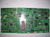 LG 42PX7DC-UA Main & SIGNAL Board 68709M0049B & 68709S0891B / 68719MMV62A & 68719SAK32A