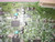 Hitachi 42EDT41A PW1A VIDEO Board JA05844-A