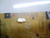 LG 47LD520 Power Supply Board EAX61289602/2 / EAY60990301