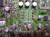 PIONEER PSP-505HD VIDEO PROCESSING Board ANP1959-B / AWV1857