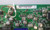 FAROUDJA FPP-61HD10 TERMINAL Board 6D6V-238EA3 / PCB-5001A(MP2)