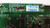 LG 43LX560H-UF Main Board / Power Supply & TCon Board Set EBU63543902 & EAY63709102 & 6871L-3966A