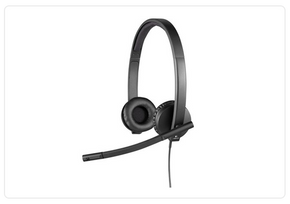 Logitech H650e USB Stereo - Headset