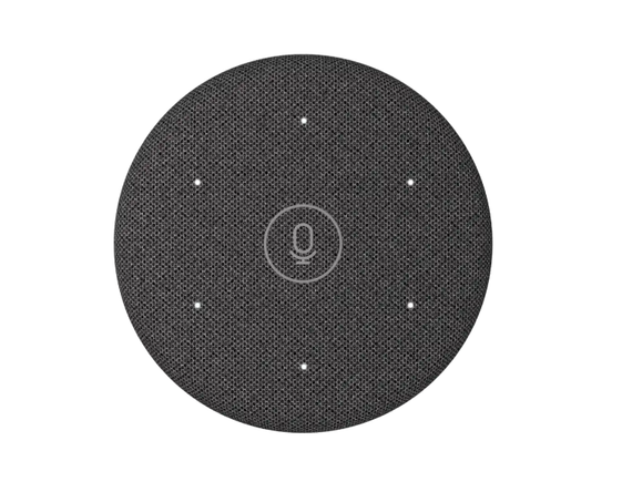 Logitech Rally Mic Pod 2 - Graphite - 989-001214