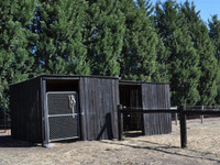 biosymph - shed coated with BitPost Timber Stain and Preserver