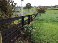 biosymph - post and rail fence stained with BitPost Timber Stain and Preserver