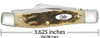 Case Knives 00079 Medium Stockman Peach Seed Jig Amber Bone CV Medium Stockman with Pen Blade