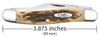 Case Knives 00128 Stockman Peach Seed Jig Amber Bone Stockman