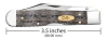 CASE 14013 BLACK OAK WOOD SMOOTH CHEETAH CUB 711 1/2L SS