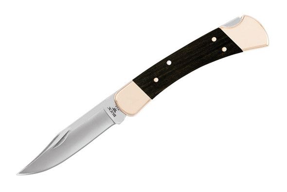 Buck Knives 110 Folding Hunter 0110BRS-B