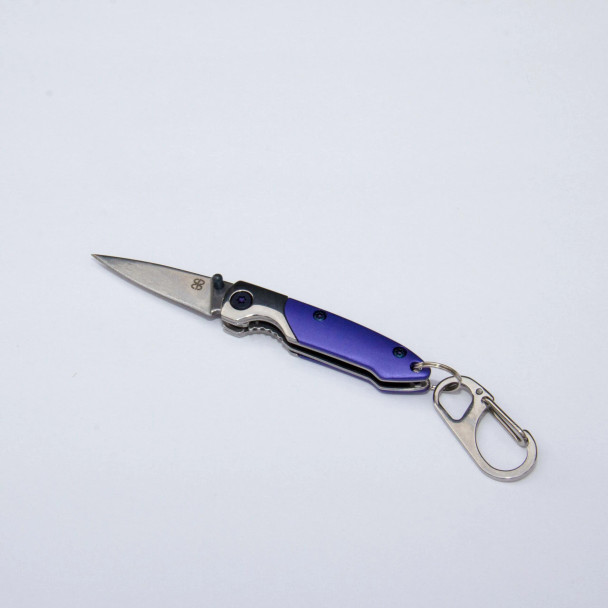 Brighten Blades Purple (Rain) Keychain