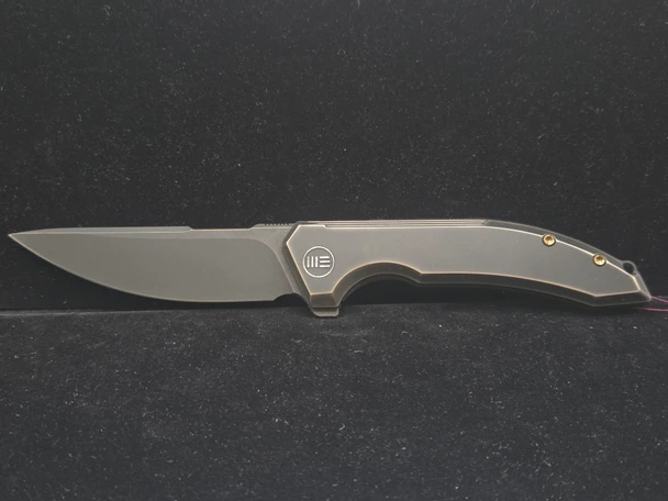 WE Quixotic, Titanium WE21016-2
