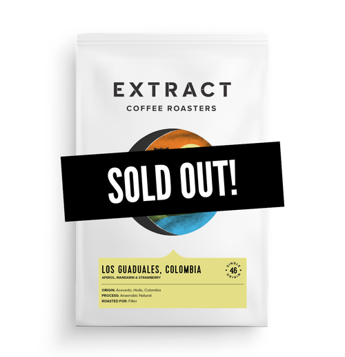 Los Guaduales Filter - Single Origin - Thumbnail
