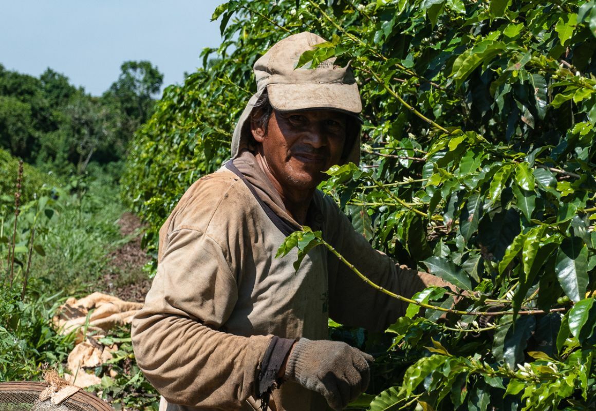 Extract Coffee Roasters - Brazilian Coffee Farmers