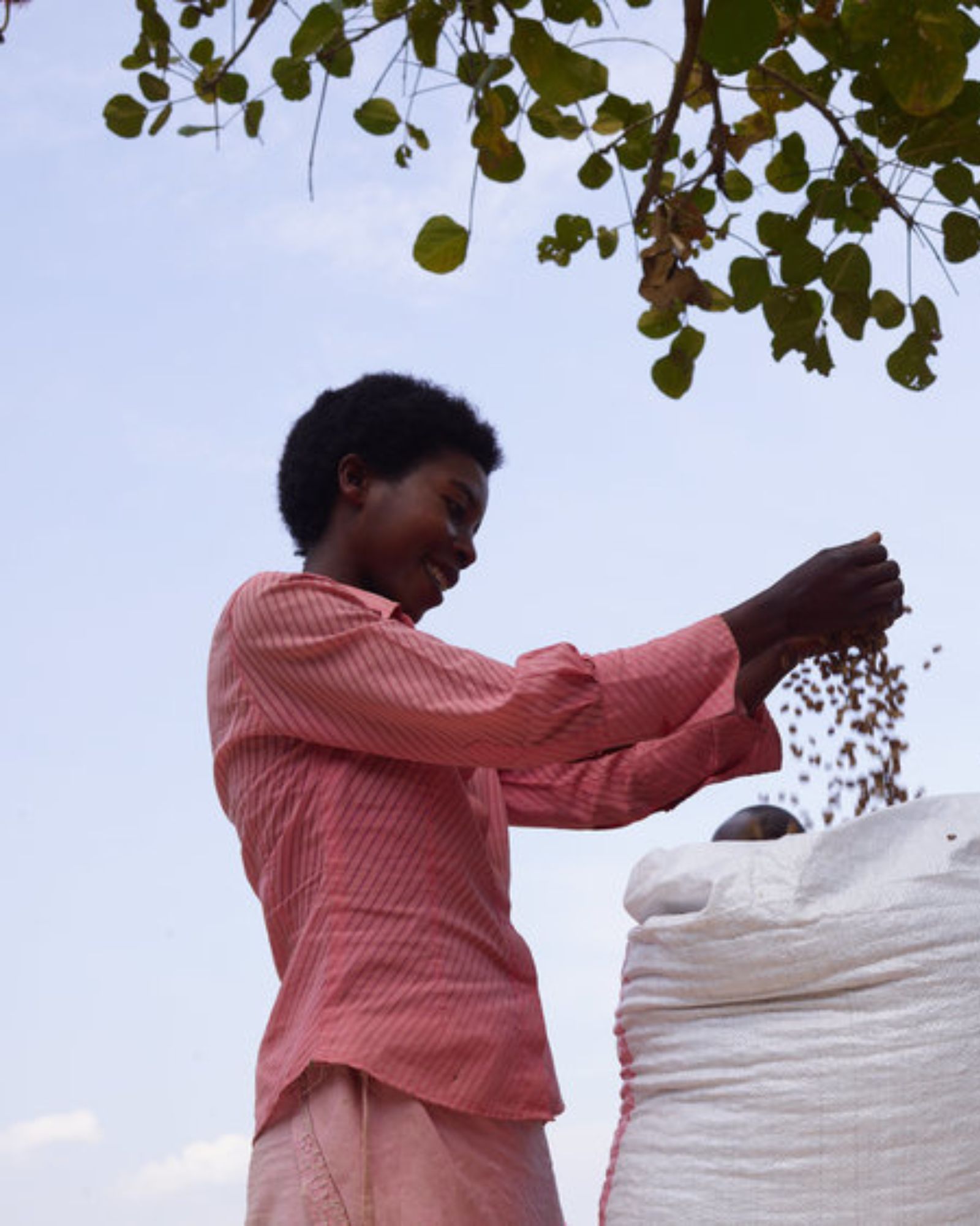 Extract Coffee ROasters - Betty Espresso - Female Grown Coffee  - Coopade Coffee Growers  Processing Coffee