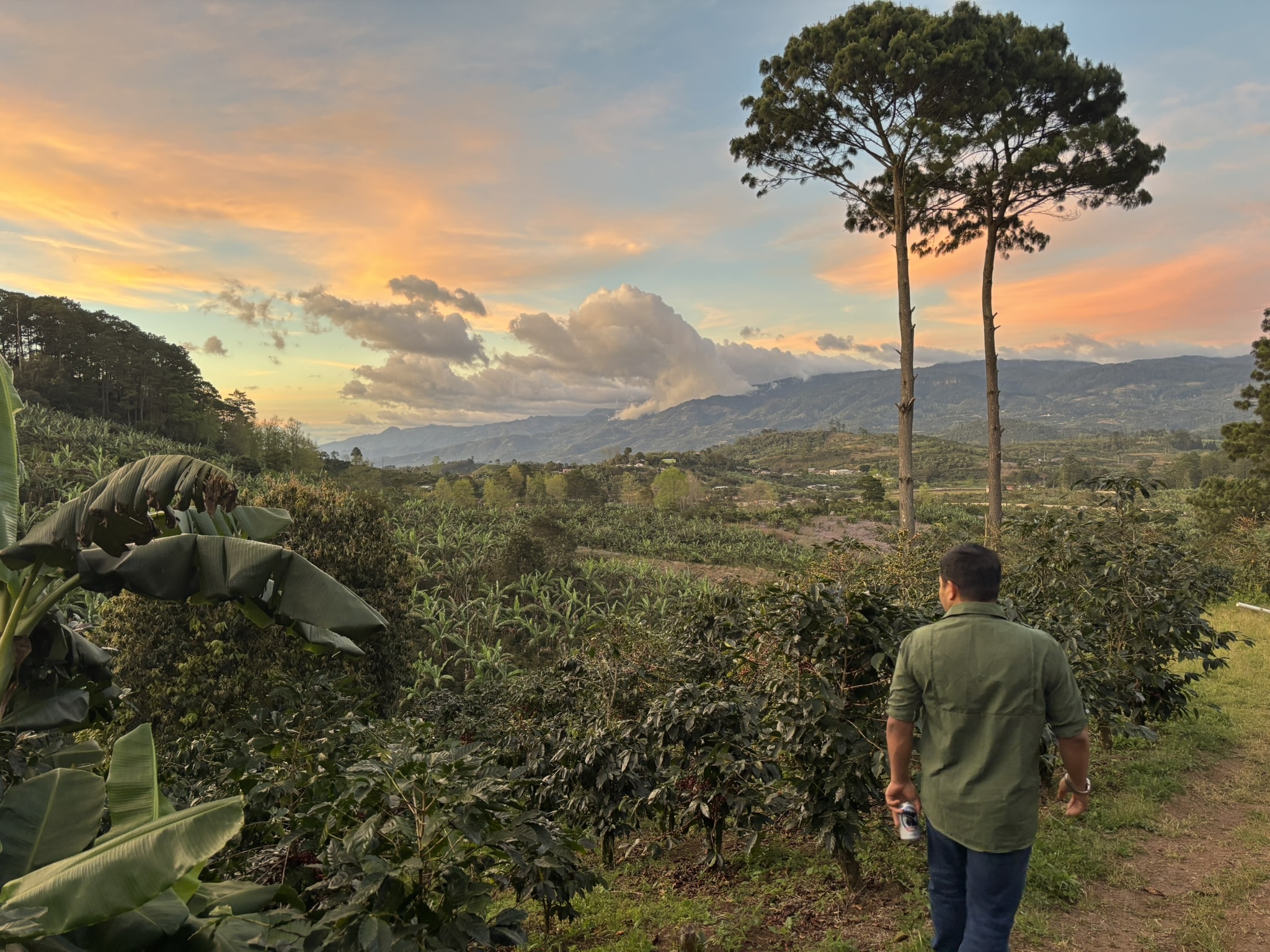 Finca Valentina Farm