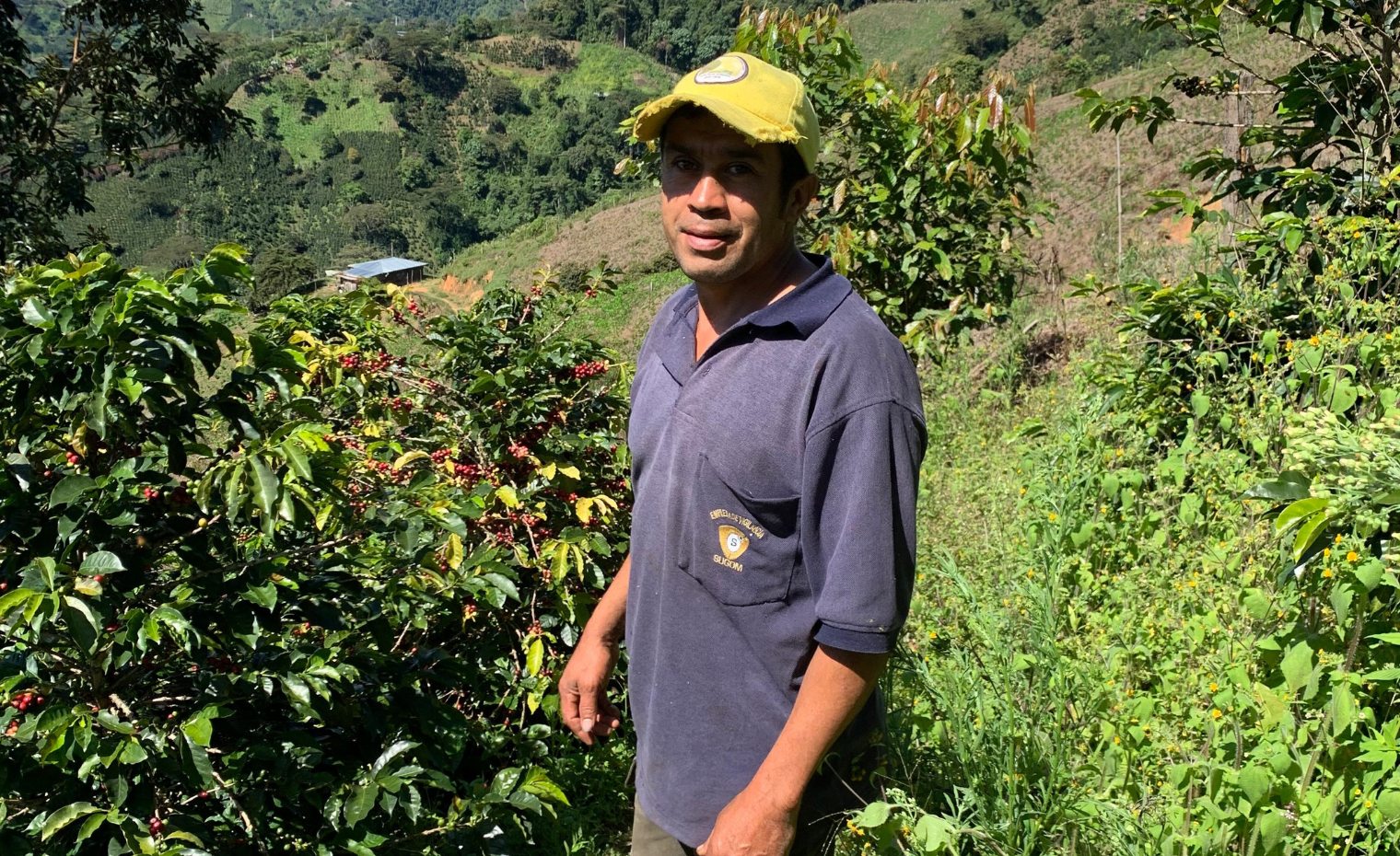 Gaitania Coffee Farm
