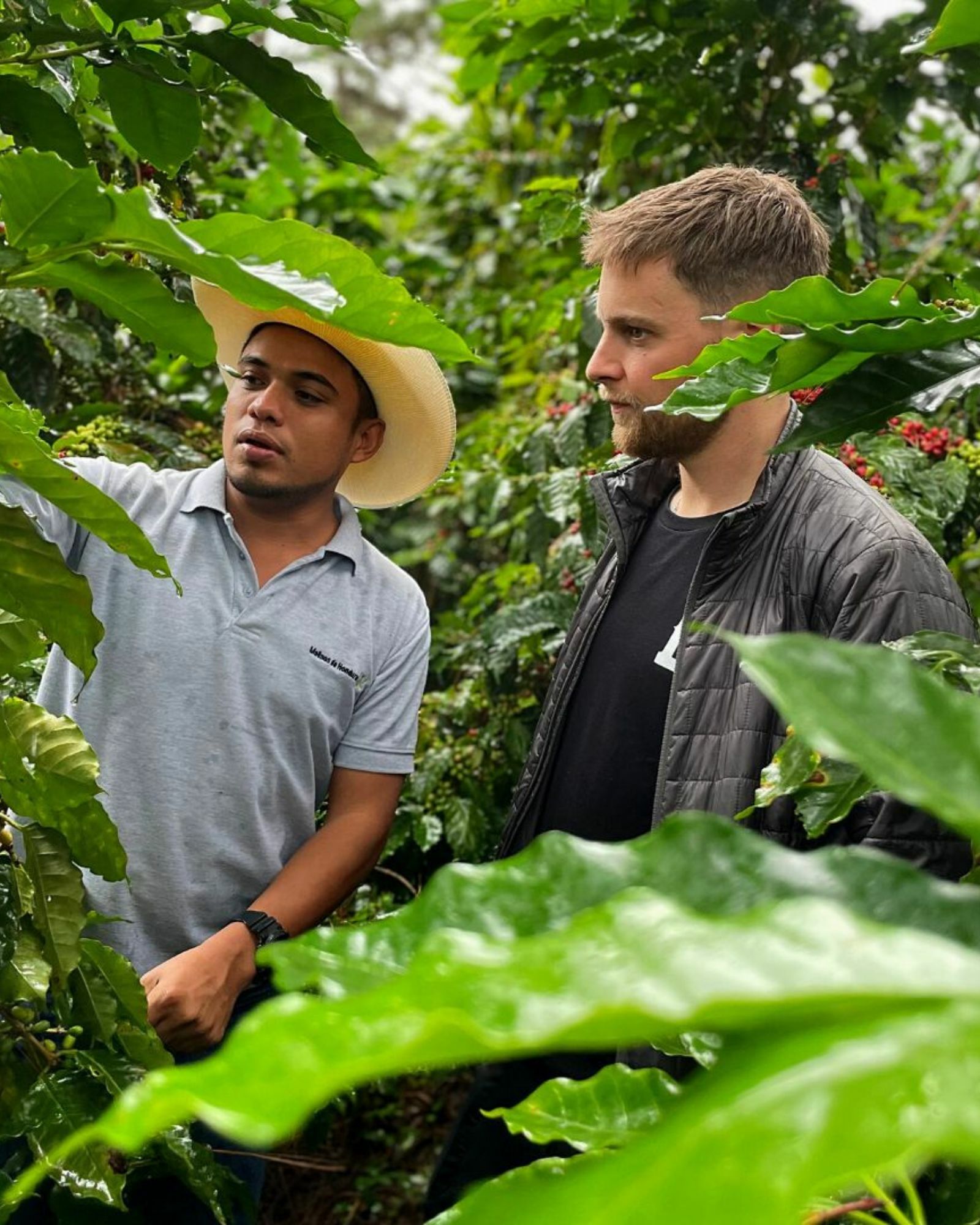 Extract Coffee Roasters - Honduran Coffee Farmer - Lepaterique