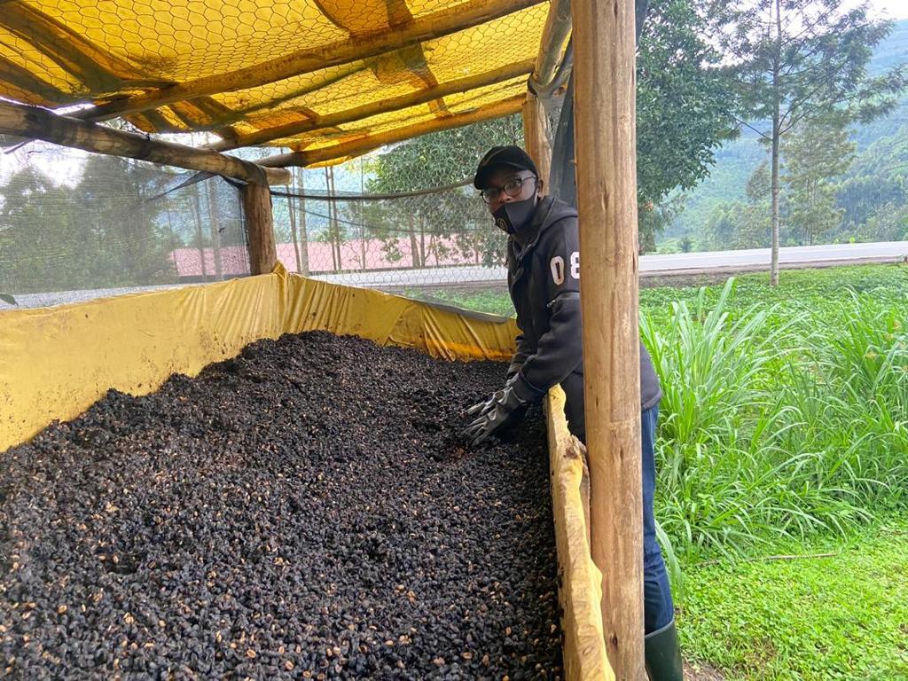 Kinini Filter Origin Image