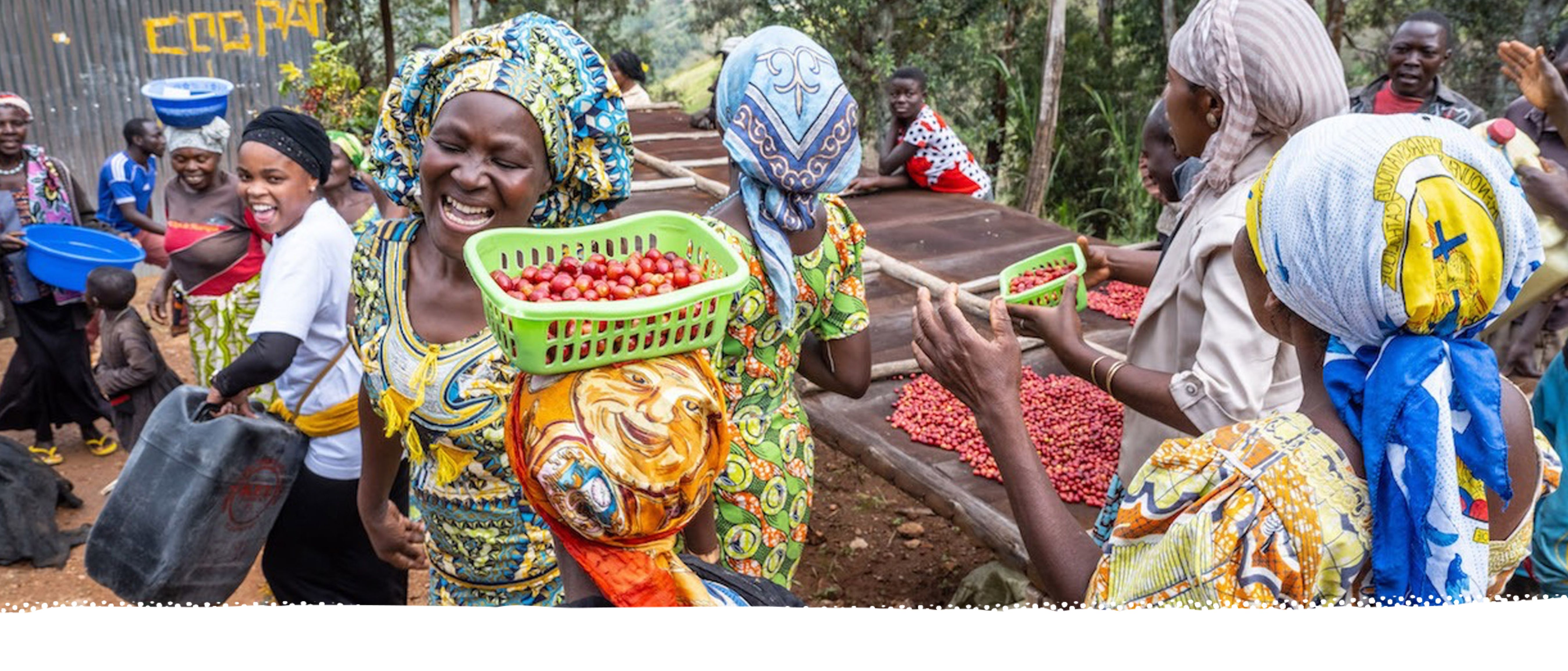 Extract Coffee Roasters - Coopade Women's Section - Women Coffee Growers - DRC