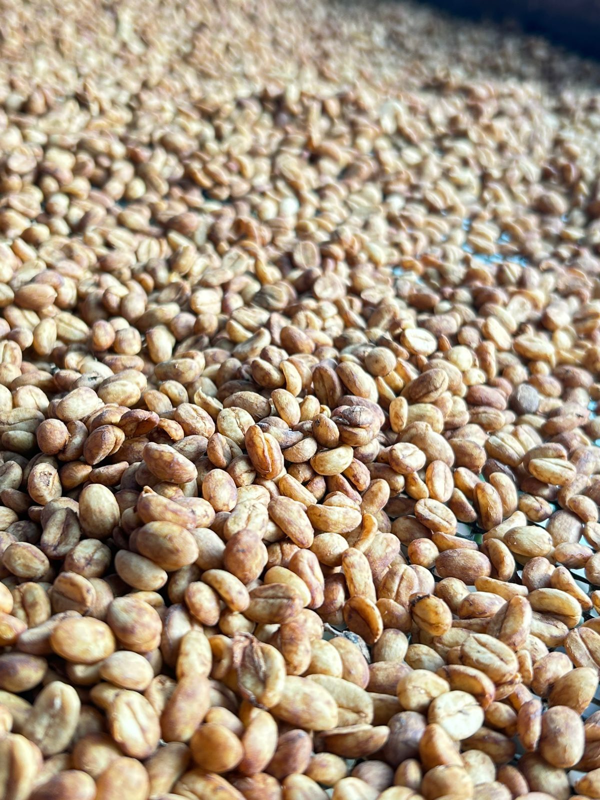 La Mina Filter Origin