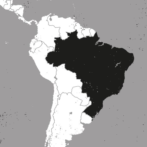 Extract Coffee Roasters Map of Brazil