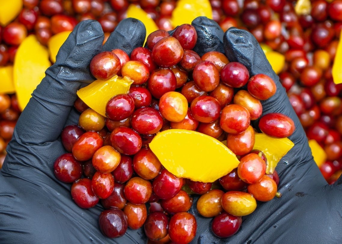 Peach Co-fermentation Image 