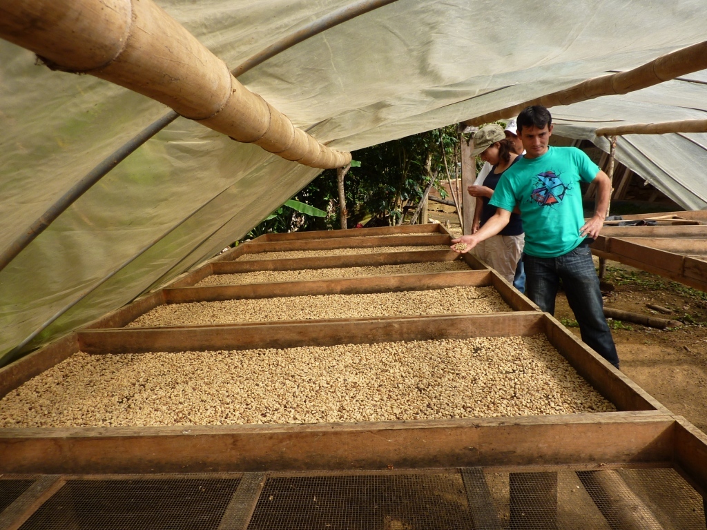 Sol Y Cafe member Caesar Augusto (22)