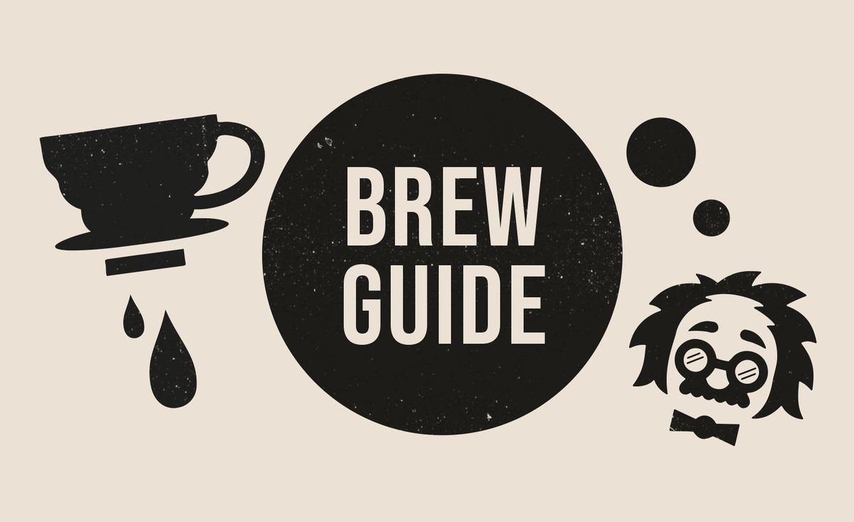 V60 Brew Guide