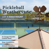 The New Pickleball Weathervane (Style 2)