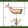 Good Directions Sperm Whale Weathervane, Roof Mount Weather Vane, Pure Copper, Durable Coastal Outdoor Decor