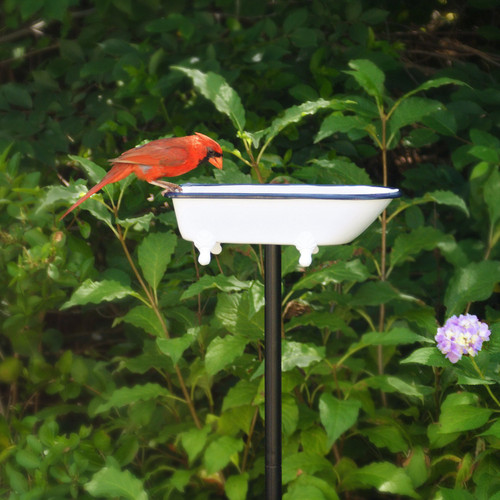 Splish Splash Bird Bath - Pure Copper, White Finish