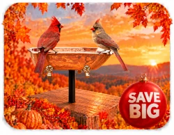 winter-sale-copper-bird-baths-2.png