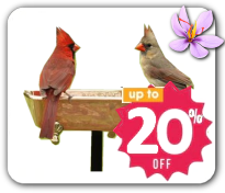 splish-splash-bird-bath-sale-stamp.png